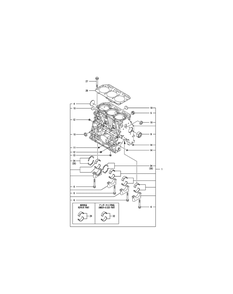 Engine Cylinder Block Diagram and Parts List for SX3100 54ALB4S727-54ALB4SW727-54ALB4SX727-54ALB4SY727-54ALB4SZ727-54AMB4S727-54AMB4SW727-54AMB4SX727-54AMB4SY727-54AMB4SZ727 Cub Cadet Lawn Tractor